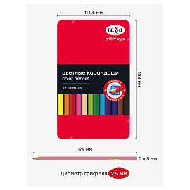 Карандаши цветные Гамма, 12цв., квадратные, заточен., метал. пенал фото Карандаши цветные Гамма, 12цв., квадратные, заточен., метал. пенал