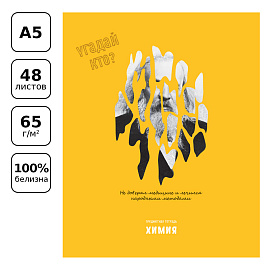 Тетрадь предметная 48л. BG "Угадай кто" - Химия, матовая ламинация, выб. лак
