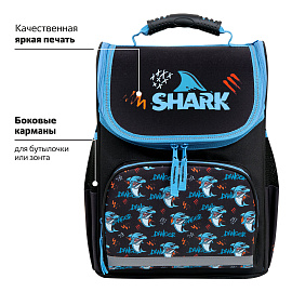 Ранец ПИФАГОР BASIC, 1 отделение, 3 кармана, эргономичная спинка, "Angry shark", 35х28х18 см, 272044