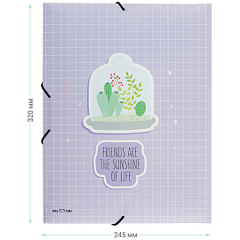 Папка на резинке MESHU "SucCutElent" А4, 500мкм