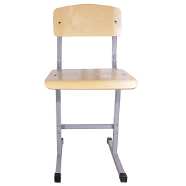 Стул ученический нерегулируемый "Умник", 380х480х800 мм, рост 6, серый каркас