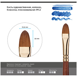 Кисть художественная колонок Гамма "Классика", плоскоовальная №12 фото Кисть художественная колонок Гамма "Классика", плоскоовальная №12