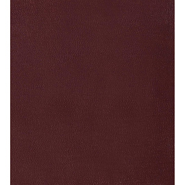 Ежедневник недатированный Bruno Visconti Megapolis искусственная кожа А5 160 листов коричневый, 3-281/03