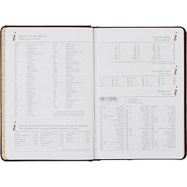 Ежедневник недатированный Attache Sidney Nebraska искусственная кожа А5 136 листов бордовый (золотистый обрез)