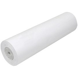 Бумага широкоформатная Evolution XES Premium EXTRA Paper 594 мм x 175 м 75 г/кв.м (2195025)