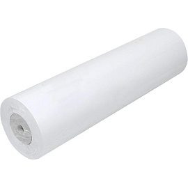 Бумага широкоформатная Evolution XES Premium EXTRA Paper 297 мм x 175 м 75 г/кв.м (2195029)