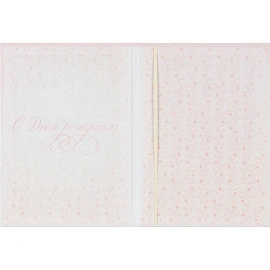 Папка адресная с Днём рождения А4