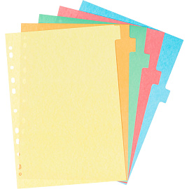 Разделитель листов картонный Attache А4 12 листов по цветам (210x297 мм)