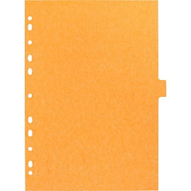 Разделитель листов картонный Attache А4 12 листов по цветам (210x297 мм)