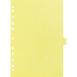 Разделитель листов картонный Attache А4 12 листов по цветам (210x297 мм)