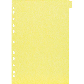 Разделитель листов картонный Attache А4 12 листов по цветам (210x297 мм)