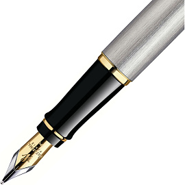 Ручка перьевая Waterman Expert цвет чернил синий цвет корпуса серебристый с позолотой (артикул производителя S0951940)