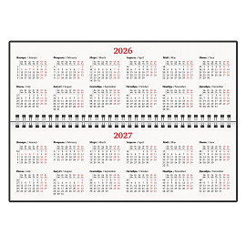 Планинг датированный 2026 305х140 мм BRAUBERG "Up", под кожу, черный, 117234