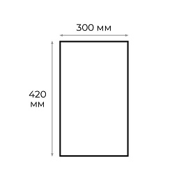 Пакет вакуумный для упаковки 300х420 мм, 80 мкм (500 штук в упаковке)