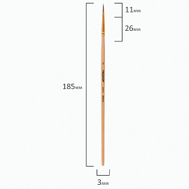 Кисть ПИФАГОР, БЕЛКА, круглая, № 2, деревянная лакированная ручка, с колпачком, 200816