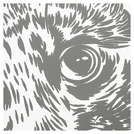 Гравюра, 18х24 см, АССОРТИ, МУЛЬТИ АРТ