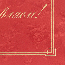 Папка адресная Поздравляем А4 картон бордовая