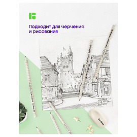 Карандаш ч/г Berlingo "Green series. Newspaper pencil", HB, заточен.