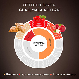 Кофе растворимый сублимированный Jardin Guatemala Atitlan 150 г (пакет) фото Кофе растворимый сублимированный Jardin Guatemala Atitlan 150 г (пакет)