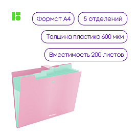 Папка 5 отделений Berlingo "Haze", А4, 600мкм, на кнопке, розовая, софт-тач