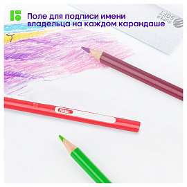 Карандаши цветные Berlingo "SuperSoft. Жил-был кот", 36цв., трехгран., заточен., картон, европодвес