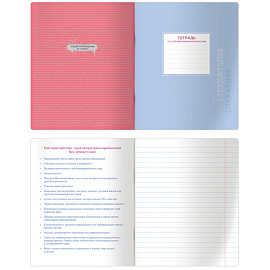 Тетрадь предметная 48л. BG "Квест" - Литература, выб. лак, металлизированный пантон