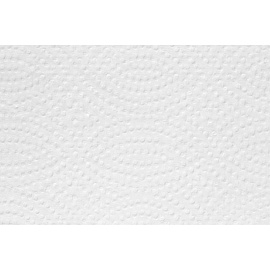 Полотенца бумажные листовые Luscan Professional H2 Z-сложение 2-слойные белые 20 пачек по 144 листов