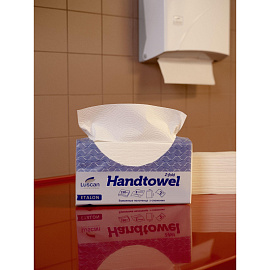 Полотенца бумажные листовые Luscan Professional H2 Z-сложение 2-слойные белые 20 пачек по 190 листов (первичная целлюлоза)