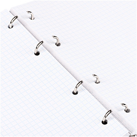 Тетрадь на кольцах А5, 120л., BG "Остров мечты", глянцевая ламинация