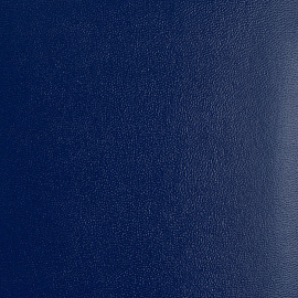 Папка адресная ЛВ+ А4 конкорд синяя