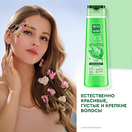 Шампунь Чистая линия Крапива укрепляющий 400 мл