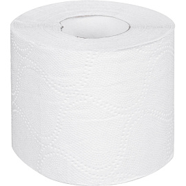 Бумага туалетная Luscan Professional 2-слойная белая (24 рулона в упаковке)