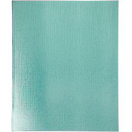 Тетрадь бумвинил А5 48 л. скоба, офсет №1, клетка, с полями, "МЯТА Metallic", HATBER, 019692, 48Т5бвВ1