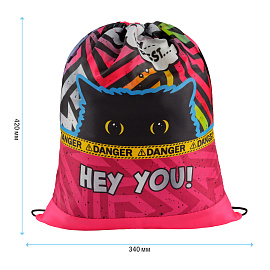 Мешок для обуви 1 отделение ArtSpace "Spy Cat", 340*420мм