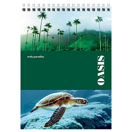 Блокнот А5 80л. на гребне BG "Время путешествий