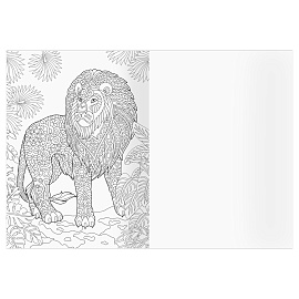 Раскраска А4, 16 стр., ТРИ СОВЫ "Антистресс. Удивительные животные