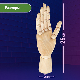 Манекен художественный BRAUBERG ART CLASSIC "РУКА", высота 25 см., женская правая, дерево, 191299