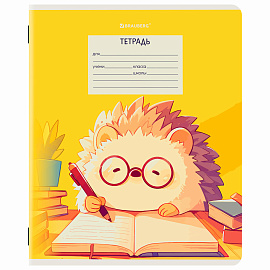 Тетрадь 12 л. BRAUBERG клетка, обложка картон, МИКС-2, 107269