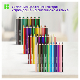 Карандаши цветные Berlingo "SuperSoft. Замки", 72цв., заточен., картон, европодвес фото Карандаши цветные Berlingo "SuperSoft. Замки", 72цв., заточен., картон, европодвес