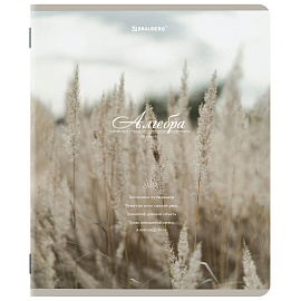 Тетради предметные, КОМПЛЕКТ 12 ПРЕДМЕТОВ, 48 л., SoftTouch, BRAUBERG, "ESTHETICS", 404833