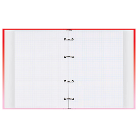 Тетрадь на кольцах А5, 240л., BG "Strawberry", матовая ламинация