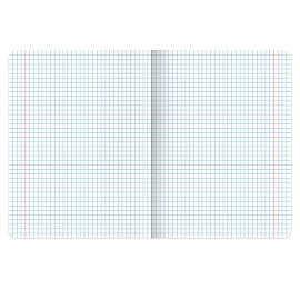 Тетради предметные, КОМПЛЕКТ 12 ПРЕДМЕТОВ, 48 л., SoftTouch, BRAUBERG, "ESTHETICS", 404833