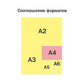 Папка с ручками А4 ArtSpace "Summer", полиэстер, на молнии, 50мм