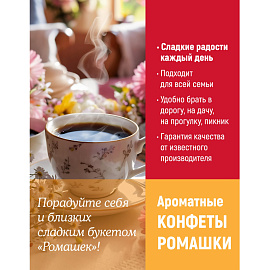 Конфеты шоколадные Рот Фронт Ромашки 250 г