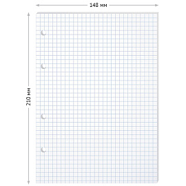 Сменный блок 80л., А5, BG, белый, пленка т/у