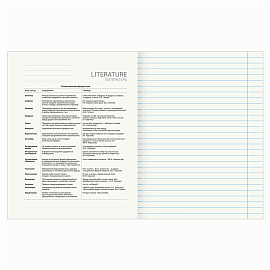 Тетрадь предметная "DELIGHT" 48 л., обложка картон, ЛИТЕРАТУРА, линия, BRAUBERG, 404576