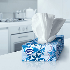 Салфетки косметические Zewa Everyday 2-слойные (100 штук в упаковке)