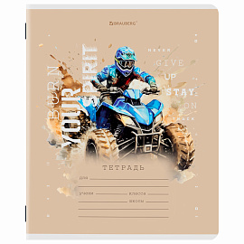 Тетрадь 12 л. BRAUBERG клетка, обложка картон, МИКС-3, 107270