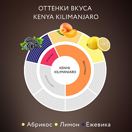 Кофе растворимый сублимированный Jardin Kenya Kilimanjaro 150 г (пакет) фото Кофе растворимый сублимированный Jardin Kenya Kilimanjaro 150 г (пакет)
