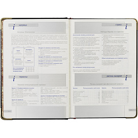 Ежедневник полудатированный Bruno Visconti Imperium натуральная кожа А5 208 листов черный (золотистый обрез)